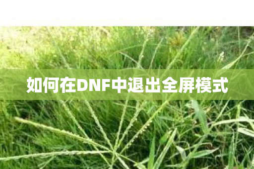 如何在DNF中退出全屏模式图片