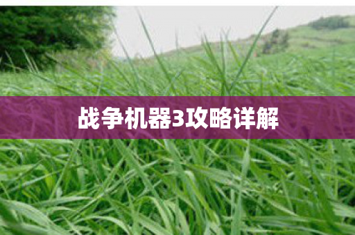 战争机器3攻略详解图片