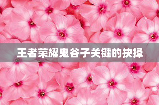 王者荣耀鬼谷子关键的抉择图片