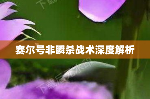 赛尔号非瞬杀战术深度解析图片