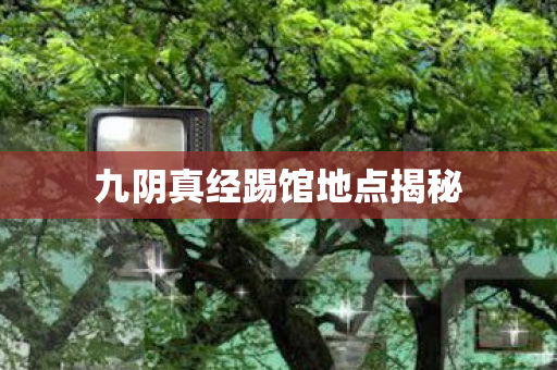 九阴真经踢馆地点揭秘图片