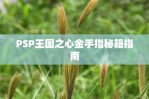 PSP王国之心金手指秘籍指南图片