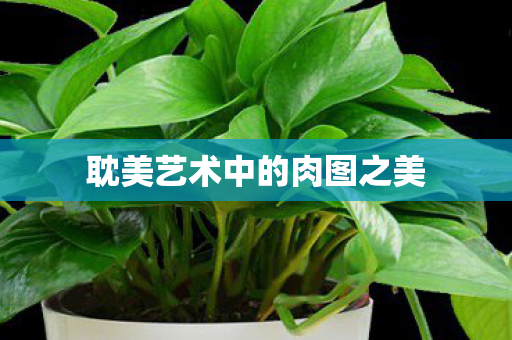 耽美艺术中的肉图之美图片