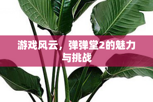 弹弹堂2的魅力与挑战图片