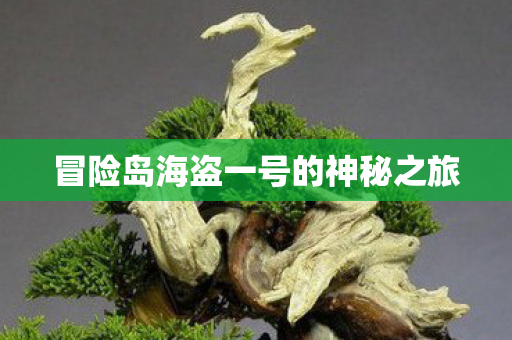 冒险岛海盗一号的神秘之旅 冒险岛海盗一号的神秘之旅
