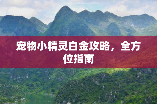 宠物小精灵白金攻略,全方位指南 宠物小精灵白金攻略,全方位指南