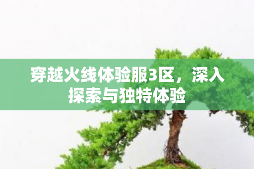 穿越火线体验服3区,深入探索与独特体验 穿越火线体验服3区,深入探索与独特体验