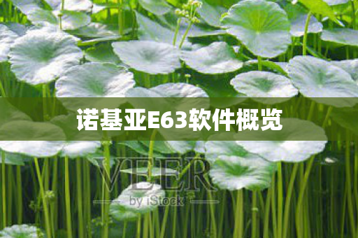 诺基亚E63软件概览图片