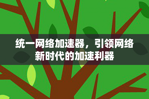 引领网络新时代的加速利器图片