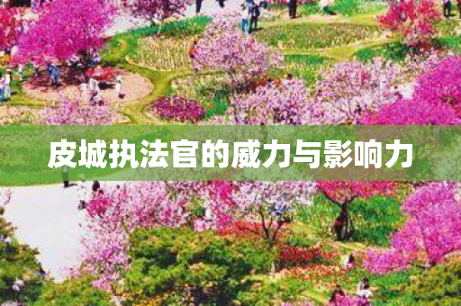 皮城执法官的威力与影响力 皮城执法官的威力与影响力