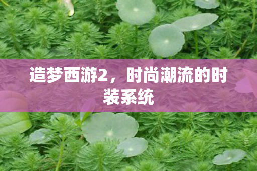 时尚潮流的时装系统图片