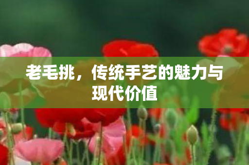 传统手艺的魅力与现代价值图片