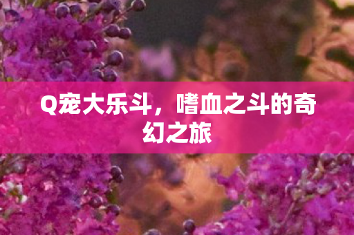 Q宠大乐斗,嗜血之斗的奇幻之旅 Q宠大乐斗,嗜血之斗的奇幻之旅