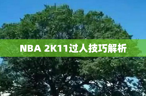 NBA 2K11过人技巧解析 NBA 2K11过人技巧解析