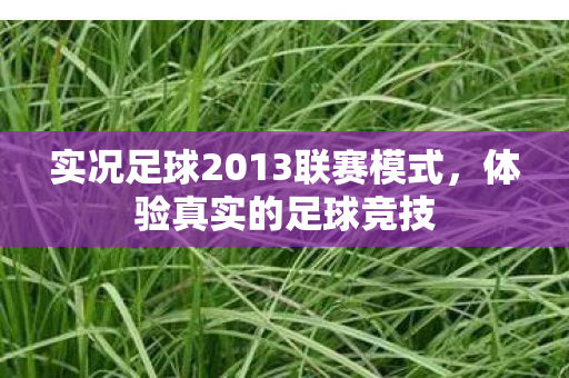 实况足球2013联赛模式,体验真实的足球竞技 实况足球2013联赛模式,体验真实的足球竞技