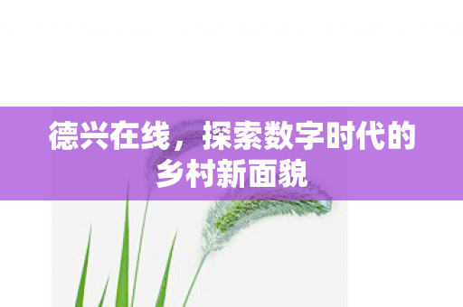 探索数字时代的乡村新面貌图片