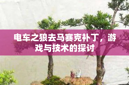 电车之狼去马赛克补丁图片