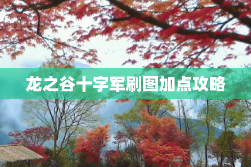龙之谷十字军刷图加点攻略图片