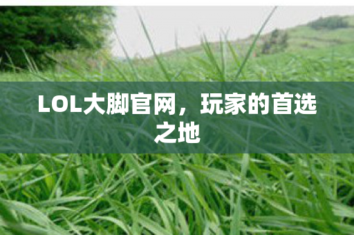 LOL大脚官网图片