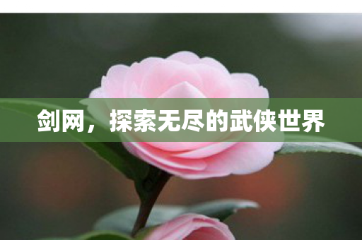 剑网,探索无尽的武侠世界 剑网,探索无尽的武侠世界