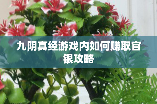 九阴真经游戏内如何赚取官银攻略 九阴真经游戏内如何赚取官银攻略