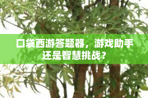 口袋西游答题器,游戏助手还是智慧挑战? 口袋西游答题器,游戏助手还是智慧挑战?