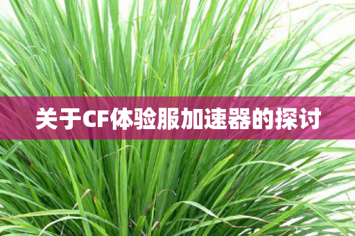 关于CF体验服加速器的探讨 关于CF体验服加速器的探讨