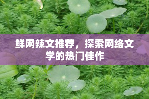 探索网络文学的热门佳作图片