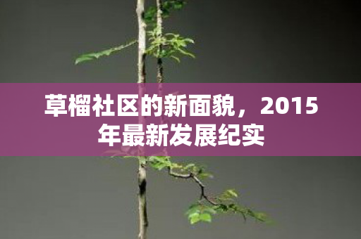 2015年最新发展纪实图片
