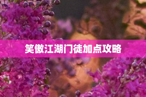 笑傲江湖门徒加点攻略图片