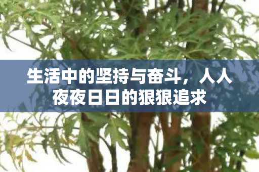 生活中的坚持与奋斗，人人夜夜日日的狠狠追求