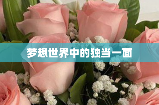 梦想世界中的独当一面