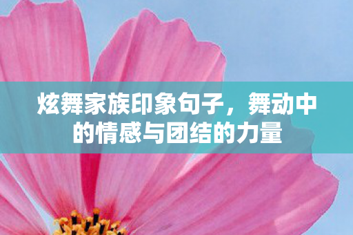 炫舞家族印象句子,舞动中的情感与团结的力量 炫舞家族印象句子,舞动中的情感与团结的力量