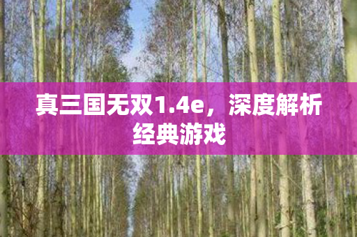 真三国无双1.4e,深度解析经典游戏 真三国无双1.4e,深度解析经典游戏