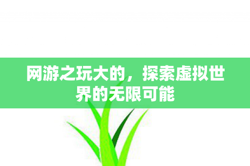 网游之玩大的,探索虚拟世界的无限可能 网游之玩大的,探索虚拟世界的无限可能