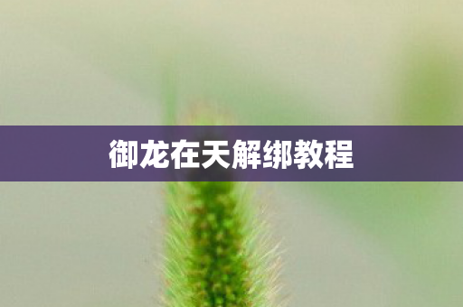 御龙在天解绑教程 御龙在天解绑教程