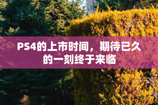 期待已久的一刻终于来临图片