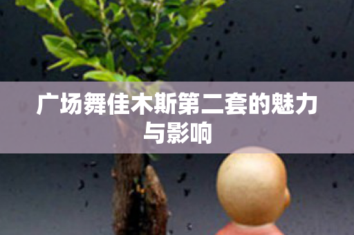 广场舞佳木斯第二套的魅力与影响图片