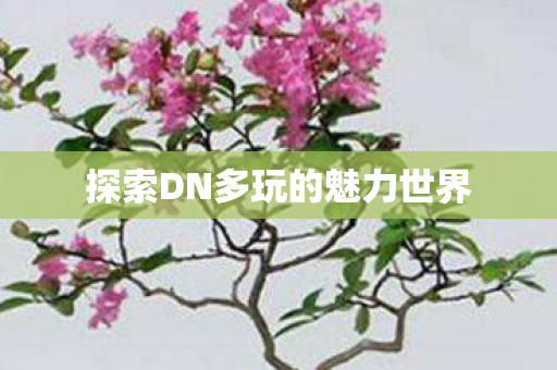 探索DN多玩的魅力世界 探索DN多玩的魅力世界