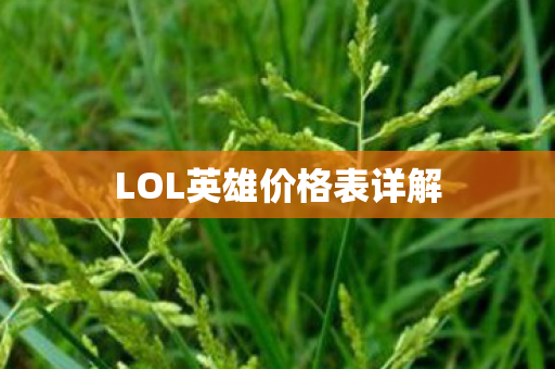 LOL英雄价格表详解图片