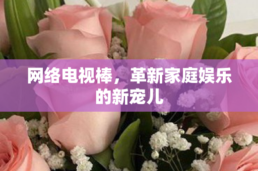 革新家庭娱乐的新宠儿图片