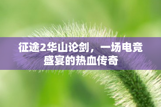 一场电竞盛宴的热血传奇图片