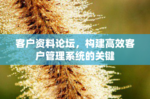 客户资料论坛,构建高效客户管理系统的关键 客户资料论坛,构建高效客户管理系统的关键