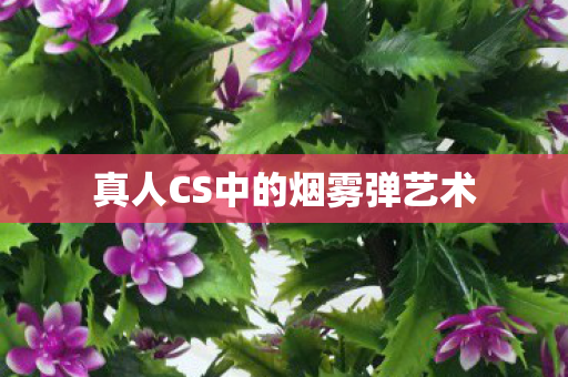 真人CS中的烟雾弹艺术 真人CS中的烟雾弹艺术