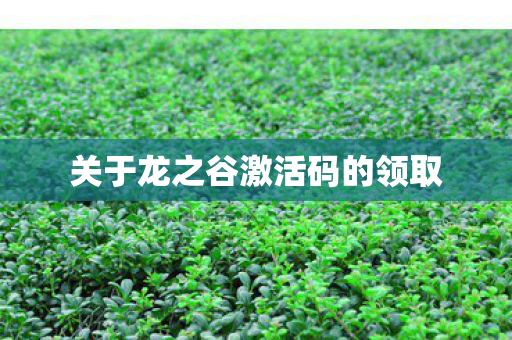 关于龙之谷激活码的领取 关于龙之谷激活码的领取