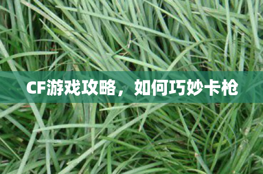 CF游戏攻略图片