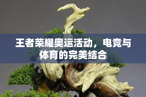 电竞与体育的完美结合图片