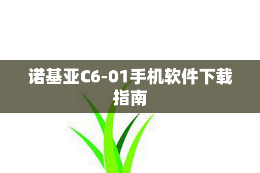 诺基亚C6-01手机软件下载指南 诺基亚C6-01手机软件下载指南