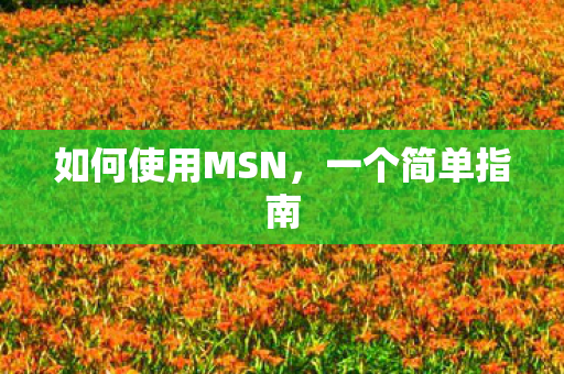 如何使用MSN图片