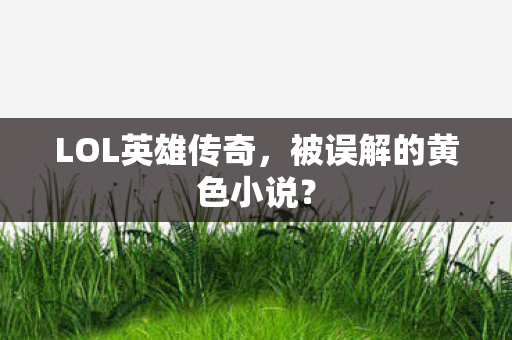 被误解的黄色小说图片